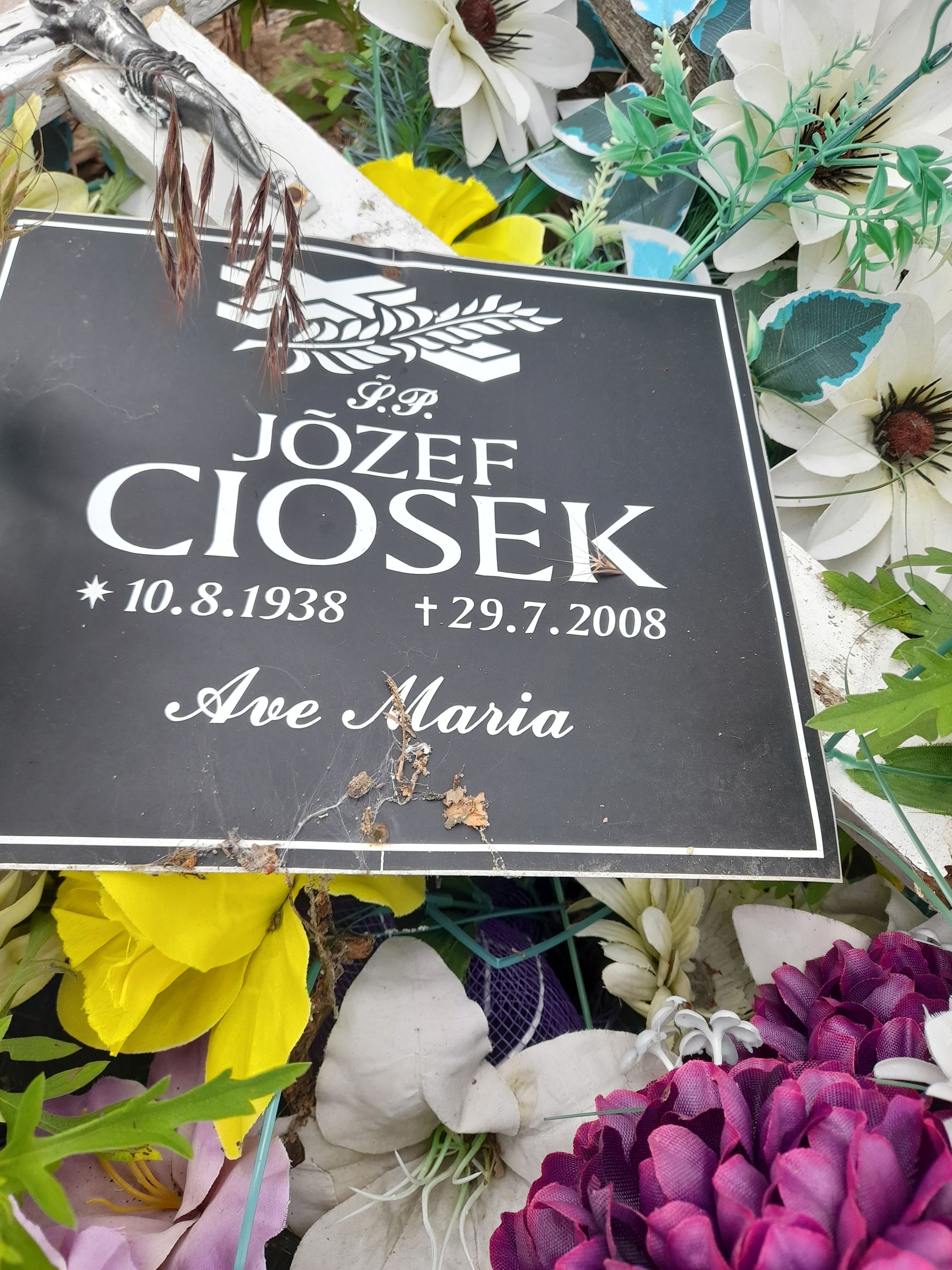 Józef Ciosek 1938 Bydgoszcz - Grobonet - Wyszukiwarka osób pochowanych