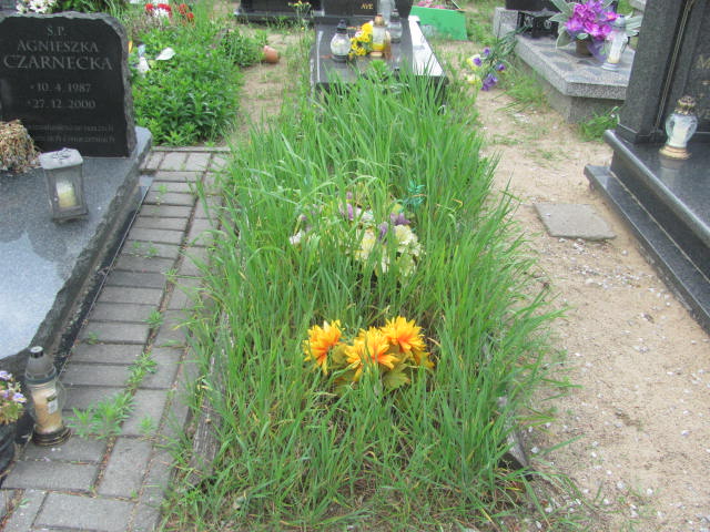 Jan Miziała 1934 Bydgoszcz - Grobonet - Wyszukiwarka osób pochowanych