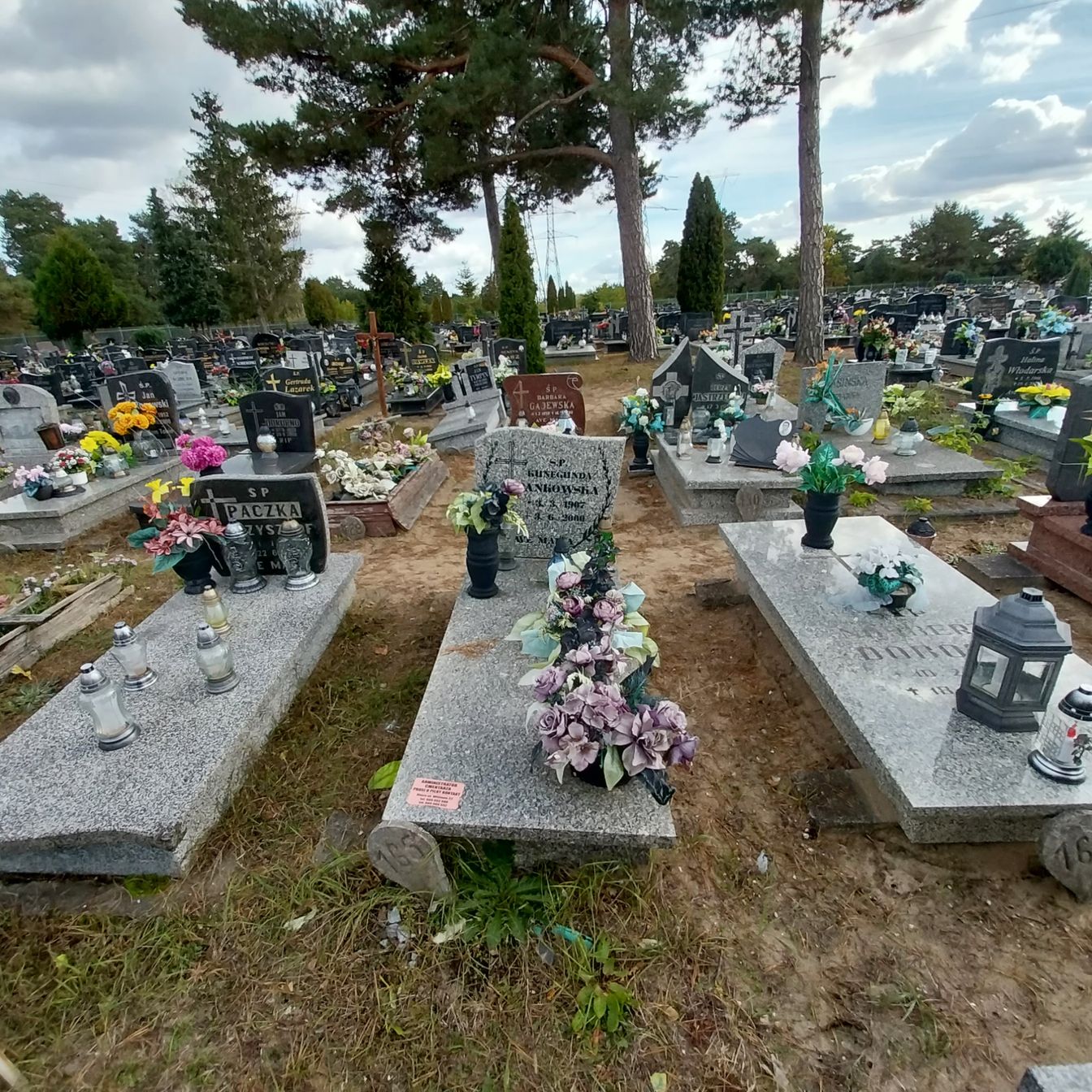 Grób Kunegunda Jankowska