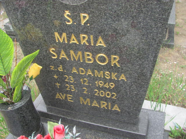 Maria Sambor 1949 Bydgoszcz - Grobonet - Wyszukiwarka osób pochowanych