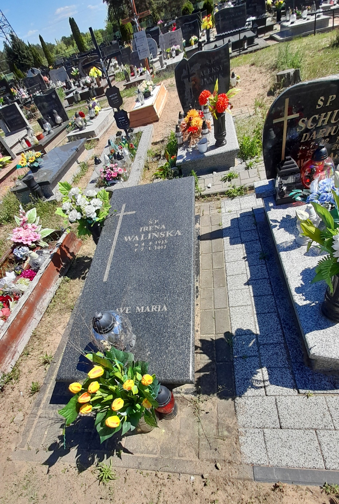 Irena Walińska 1923 Bydgoszcz - Grobonet - Wyszukiwarka osób pochowanych