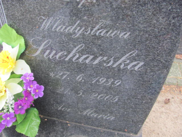 Władysława Sucharska 1939 Bydgoszcz - Grobonet - Wyszukiwarka osób pochowanych