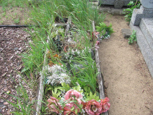 Witold Pawlak 1932 Bydgoszcz - Grobonet - Wyszukiwarka osób pochowanych