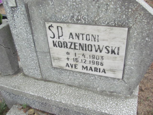 Antoni Korzeniowski 1903 Bydgoszcz - Grobonet - Wyszukiwarka osób pochowanych