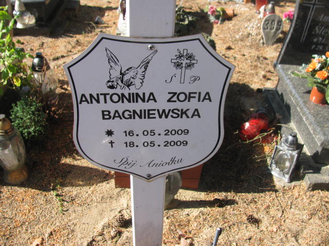 Antonina Bagniewska 2009 Bydgoszcz - Grobonet - Wyszukiwarka osób pochowanych
