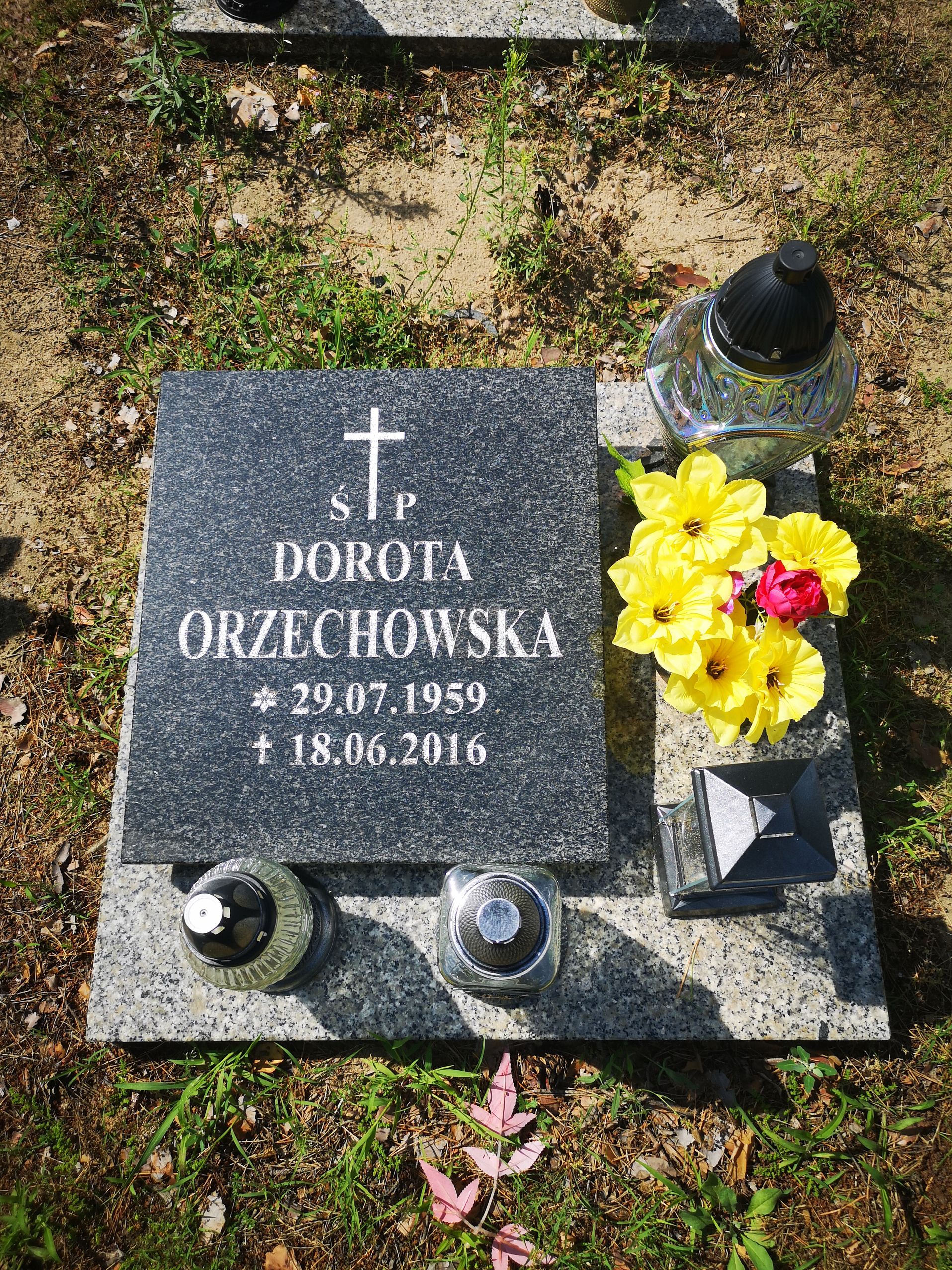 Dorota Orzechowska 1959 Bydgoszcz - Grobonet - Wyszukiwarka osób pochowanych