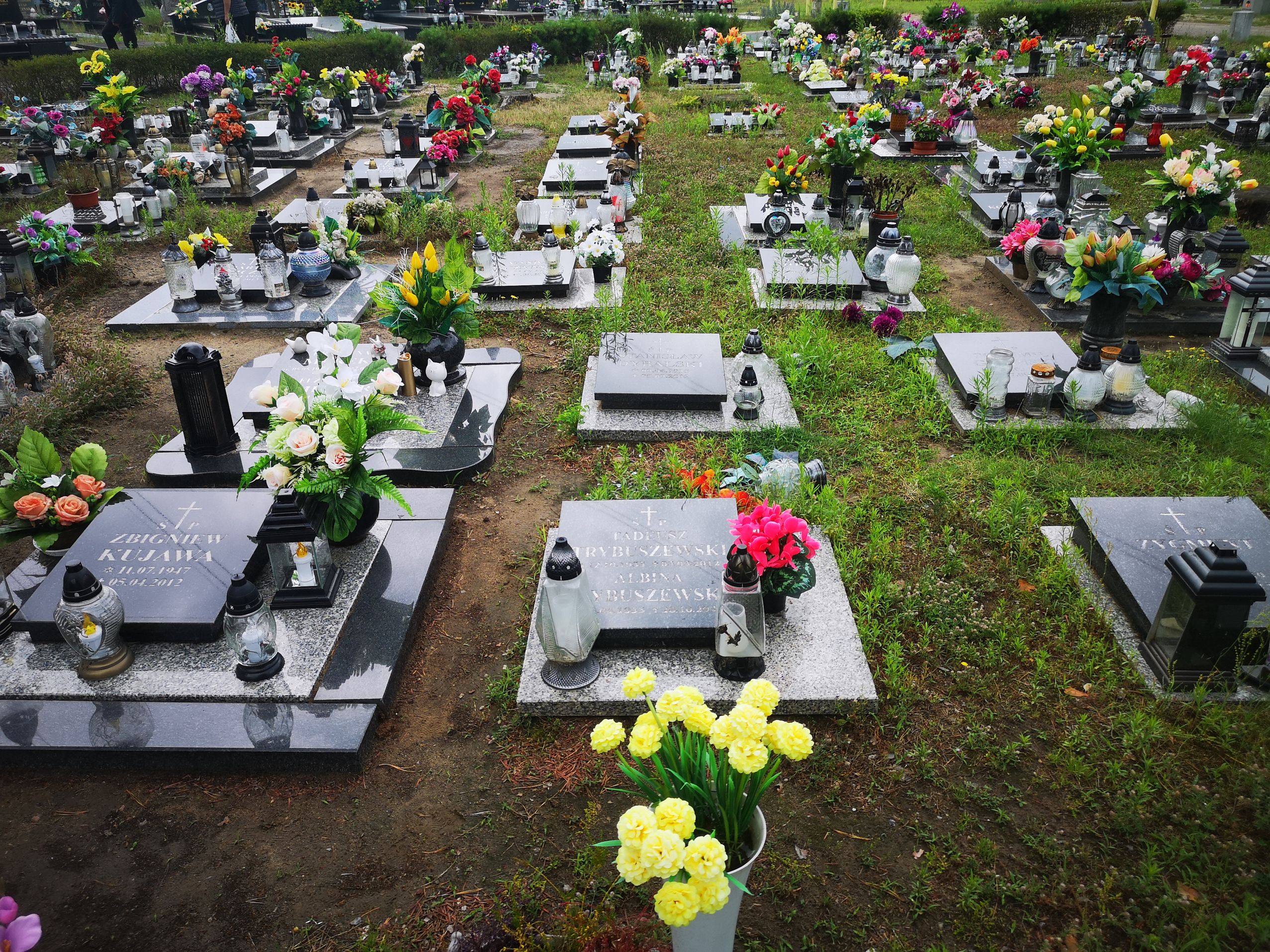 Grób Tadeusz Trybuszewski