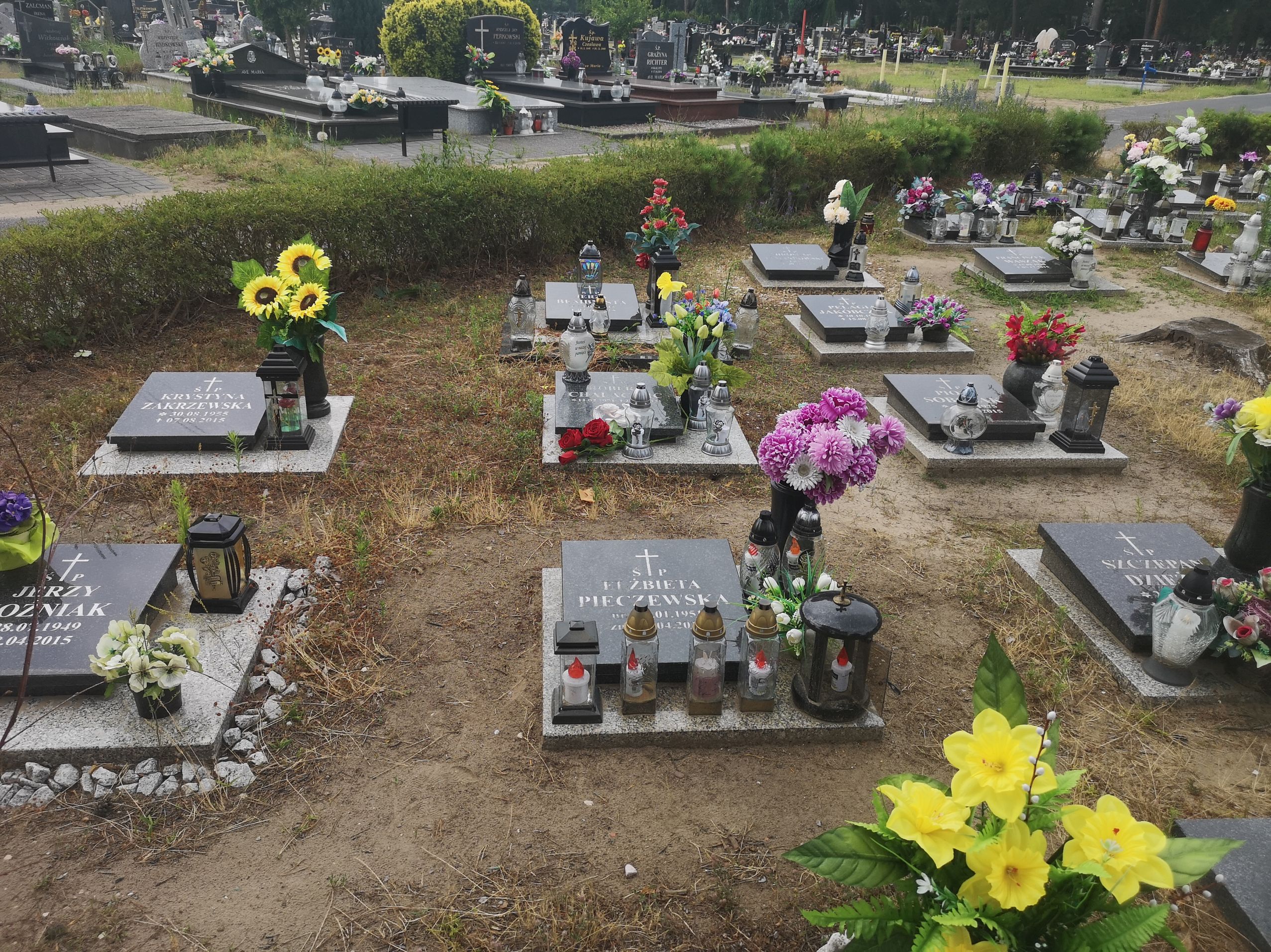 Grób Elżbieta Pieczewska