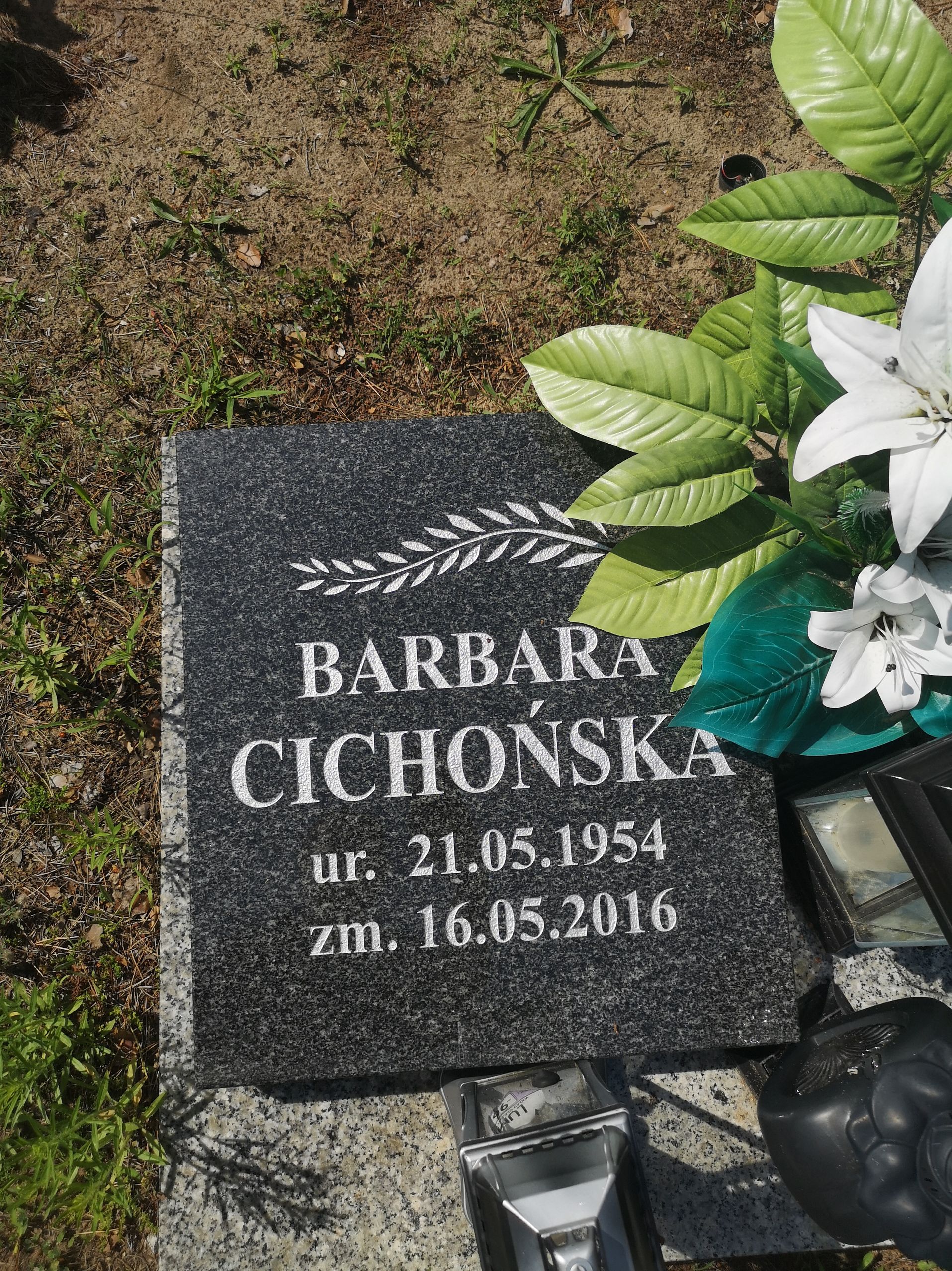 Barbara Cichońska 1954 Bydgoszcz - Grobonet - Wyszukiwarka osób pochowanych