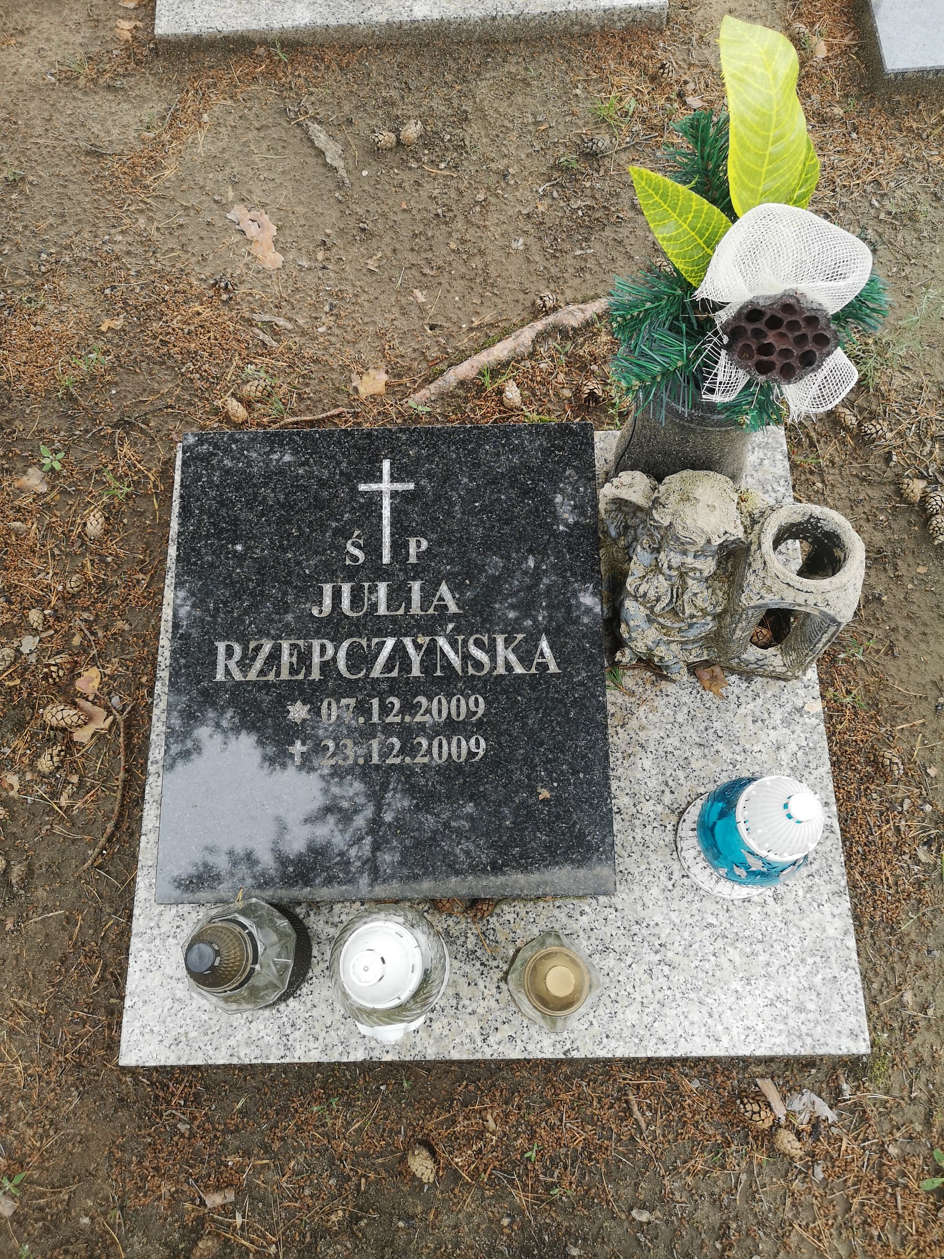 Julia Rzepczyńska 2009 Bydgoszcz - Grobonet - Wyszukiwarka osób pochowanych