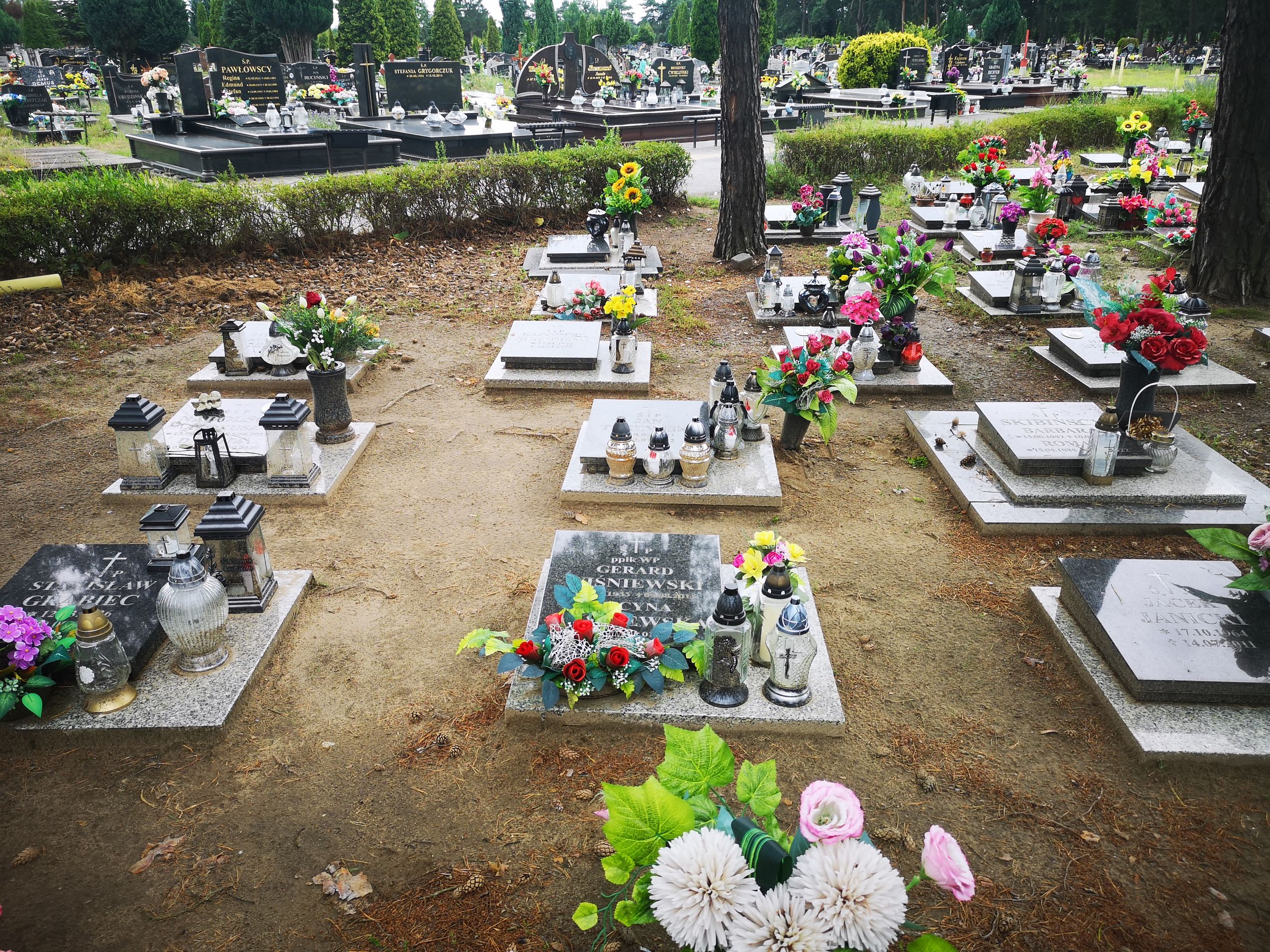 Lucyna Wisniewska 1936 Bydgoszcz - Grobonet - Wyszukiwarka osób pochowanych