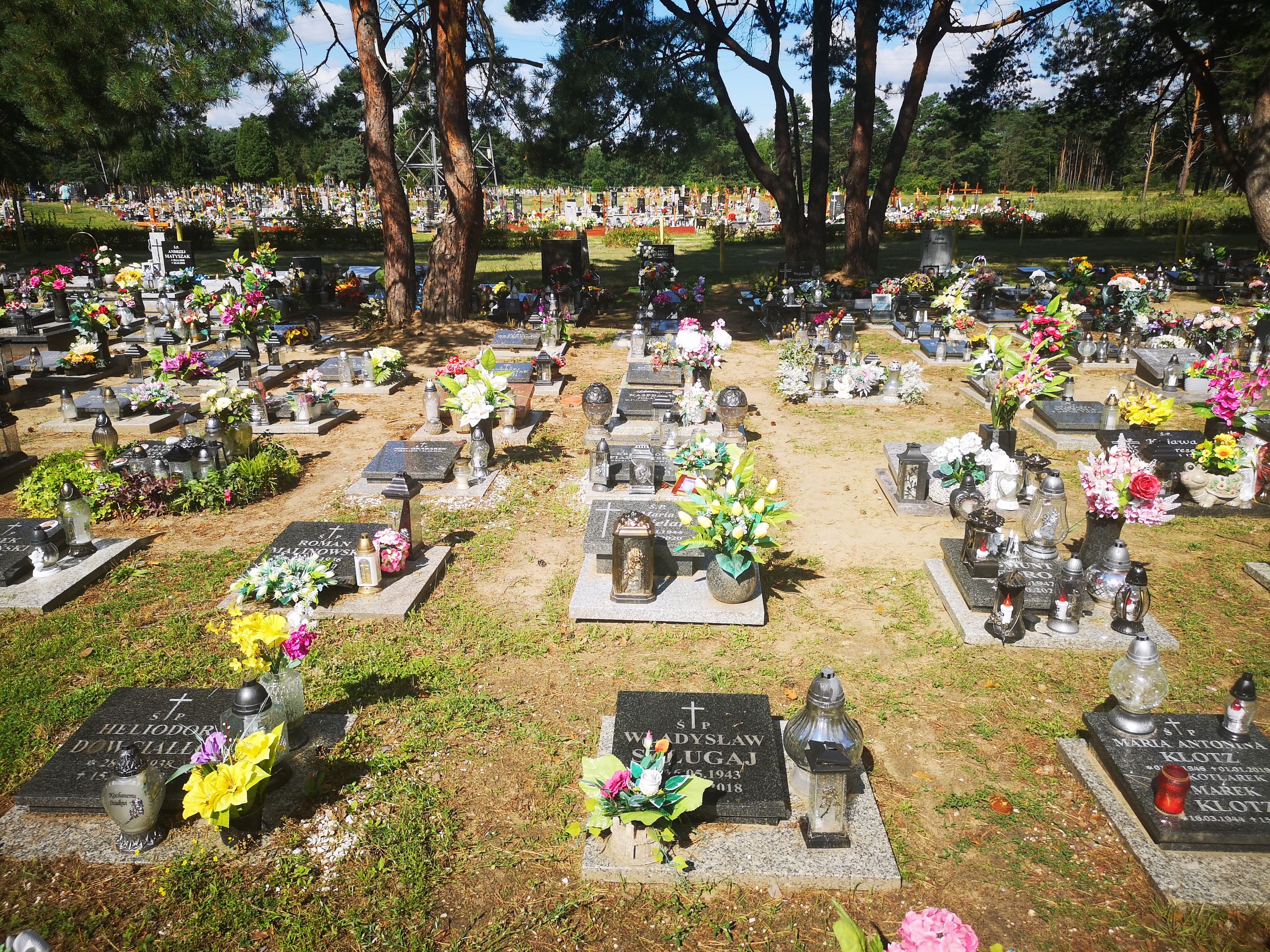 Władysław Szlugaj 1943 Bydgoszcz - Grobonet - Wyszukiwarka osób pochowanych