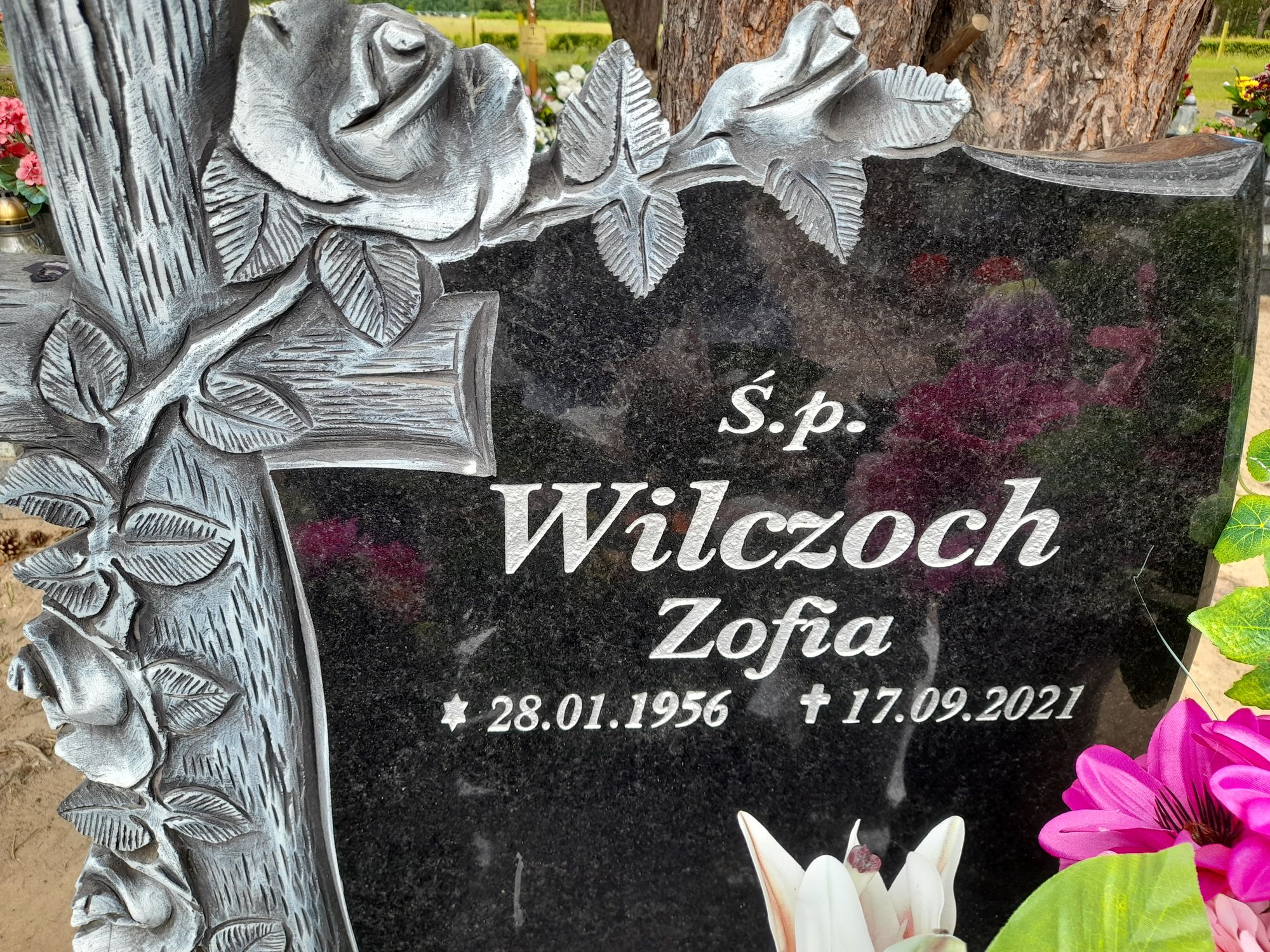 Zofia Wilczoch 1956 Bydgoszcz - Grobonet - Wyszukiwarka osób pochowanych