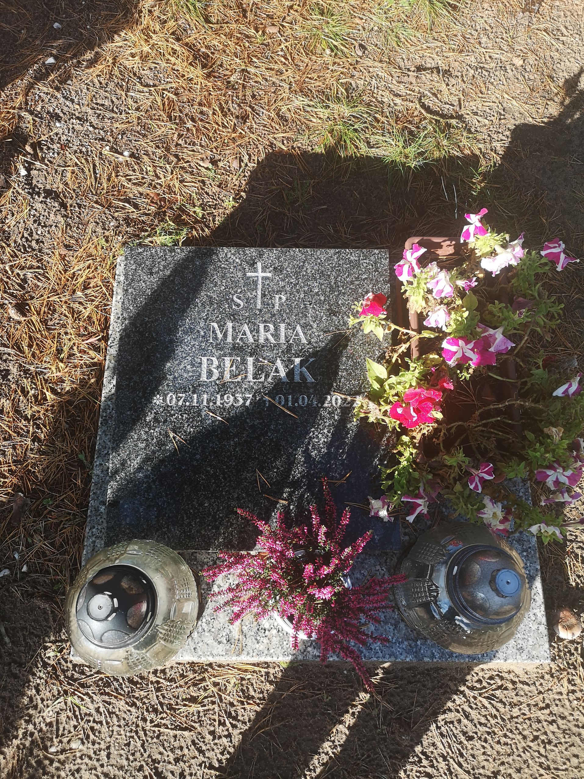 Maria Belak 1937 Bydgoszcz - Grobonet - Wyszukiwarka osób pochowanych