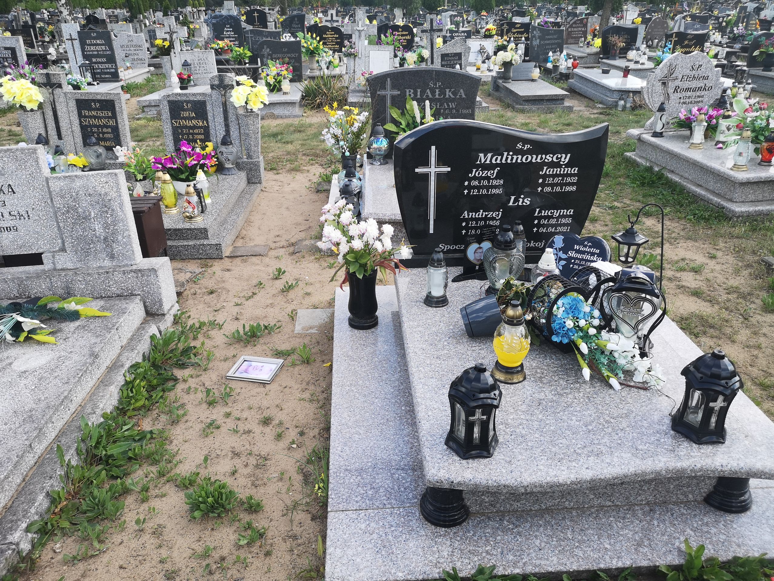 Lucyna Lis 1955 Bydgoszcz - Grobonet - Wyszukiwarka osób pochowanych