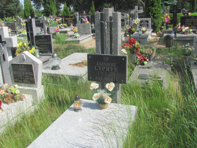 Grób Kazimierz Cyprys