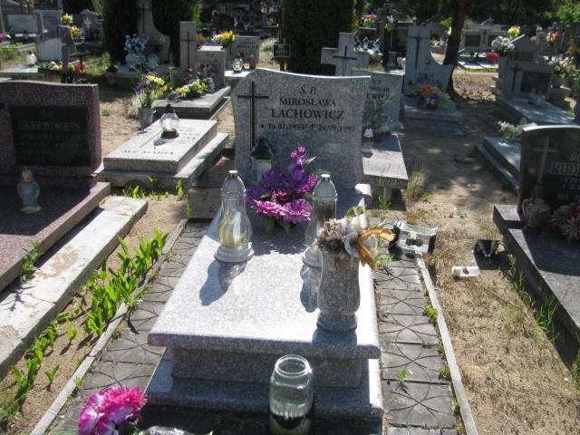 Grób Zygmunt Lachowicz