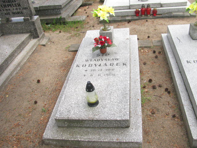 Grób Władysław Kobylarek