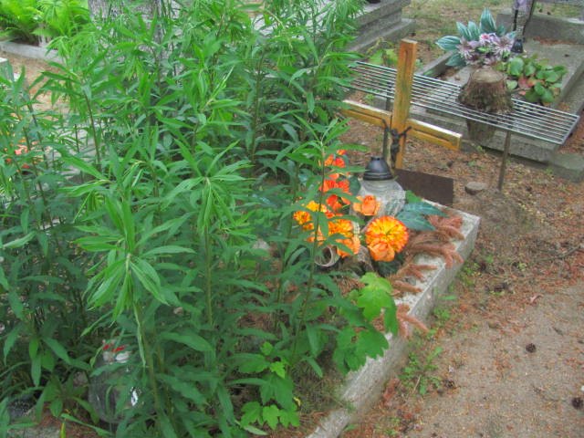 Zbigniew Jankowski 1937 Bydgoszcz - Grobonet - Wyszukiwarka osób pochowanych