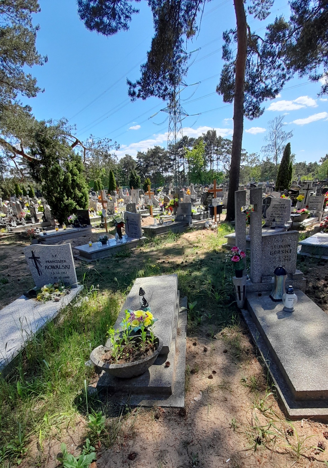 Alfred Gołębiewski 1929 Bydgoszcz - Grobonet - Wyszukiwarka osób pochowanych