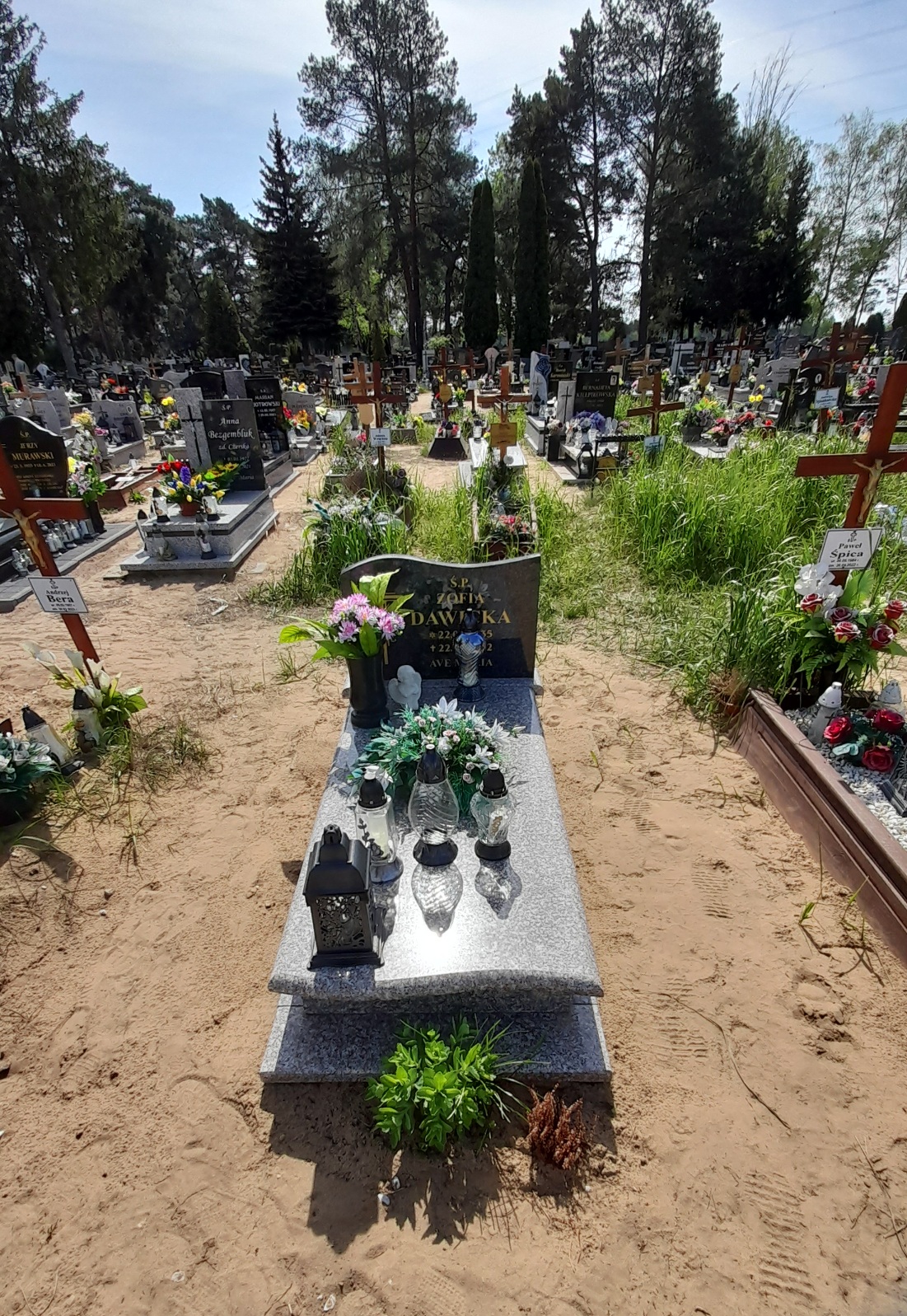 Grób Zofia Dawicka