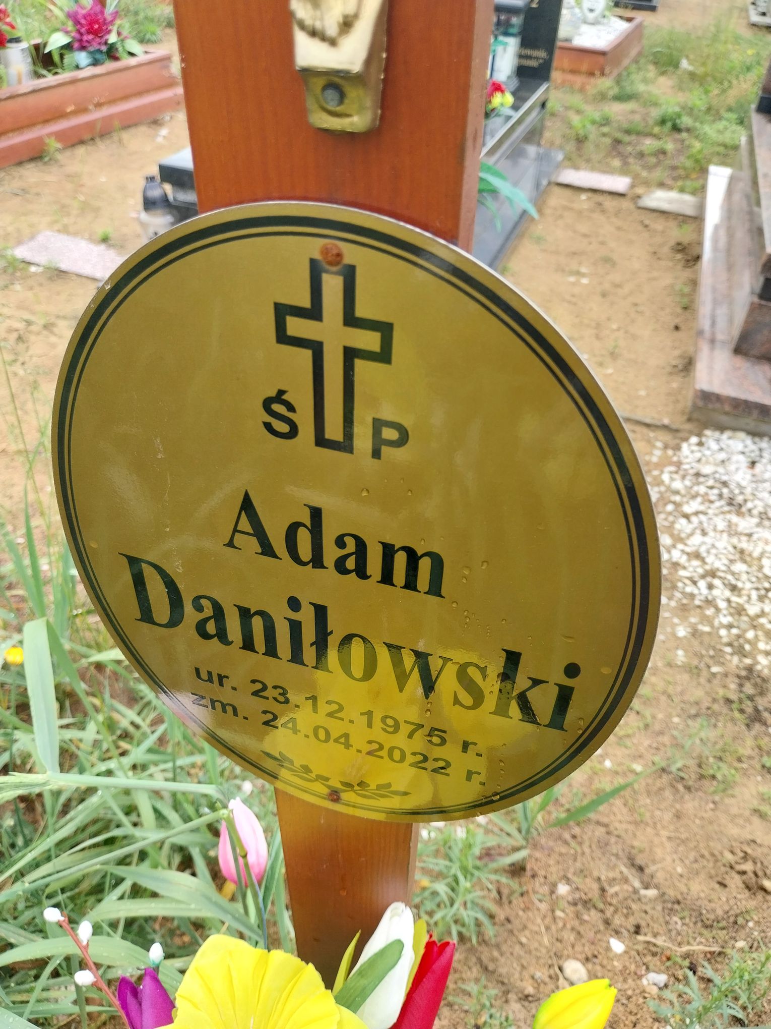 Adam Daniłowski 1975 Bydgoszcz - Grobonet - Wyszukiwarka osób pochowanych