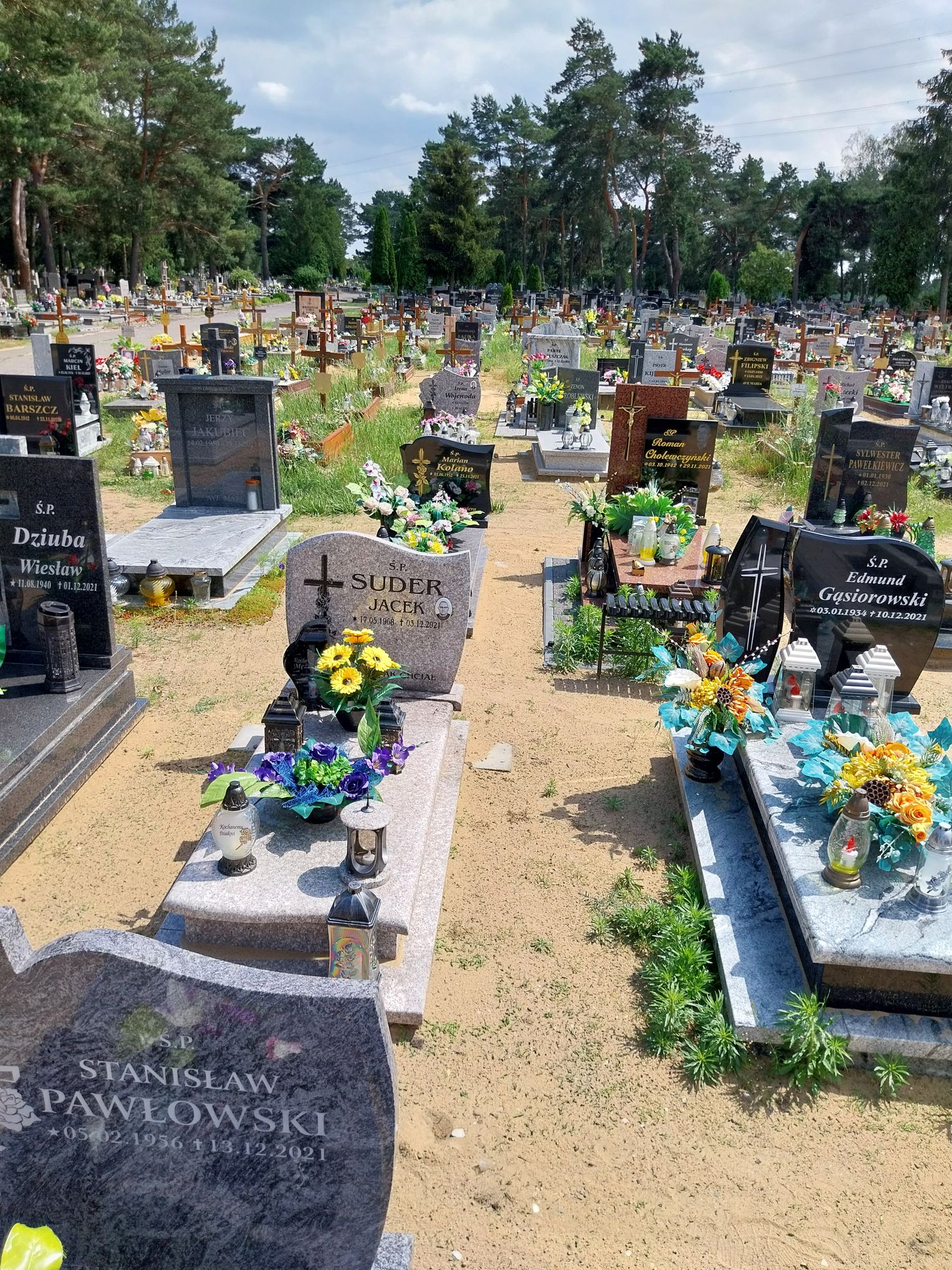 Jacek Suder 1968 Bydgoszcz - Grobonet - Wyszukiwarka osób pochowanych