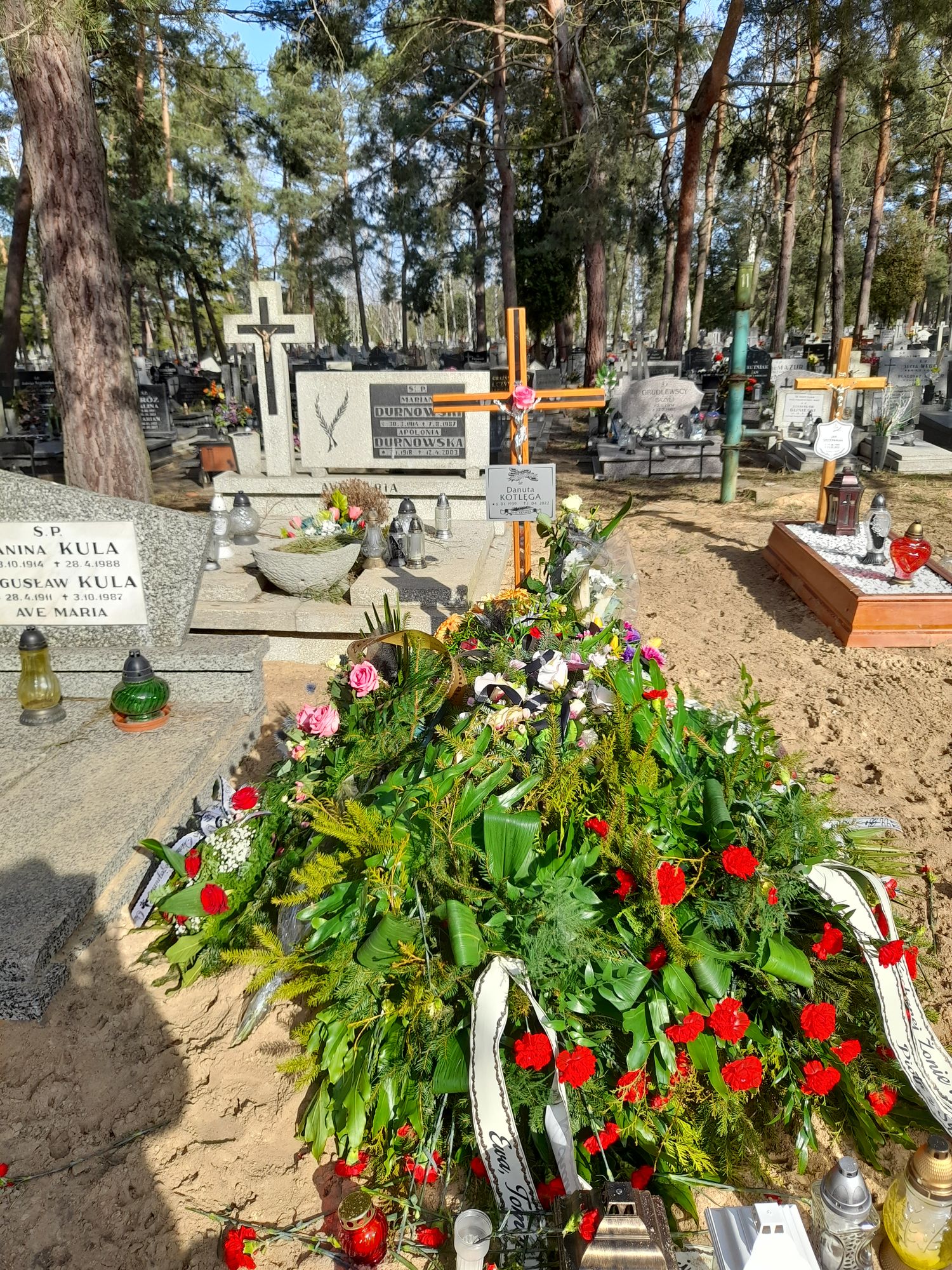 Danuta Kotlęga 1939 Bydgoszcz - Grobonet - Wyszukiwarka osób pochowanych