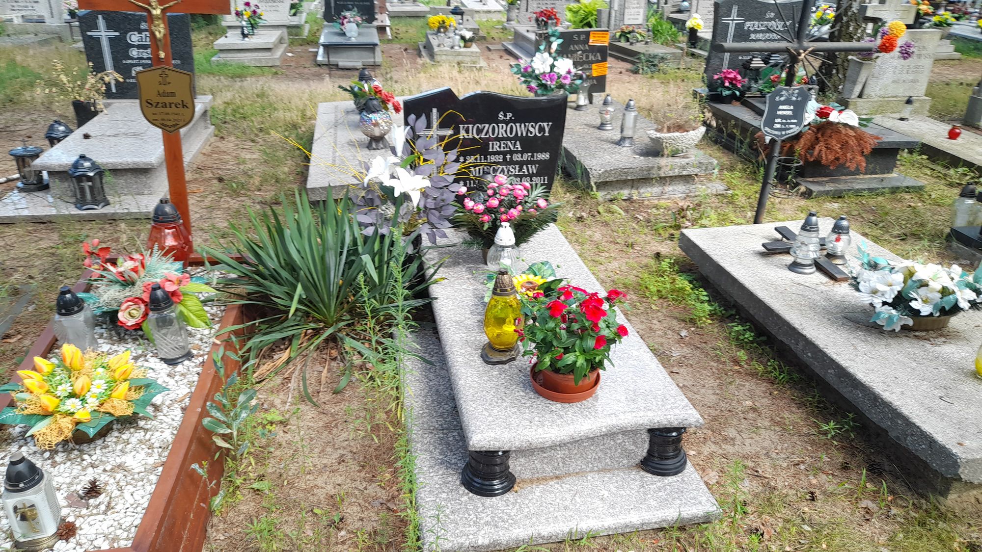 Grób Mieczysław Kiczorowski