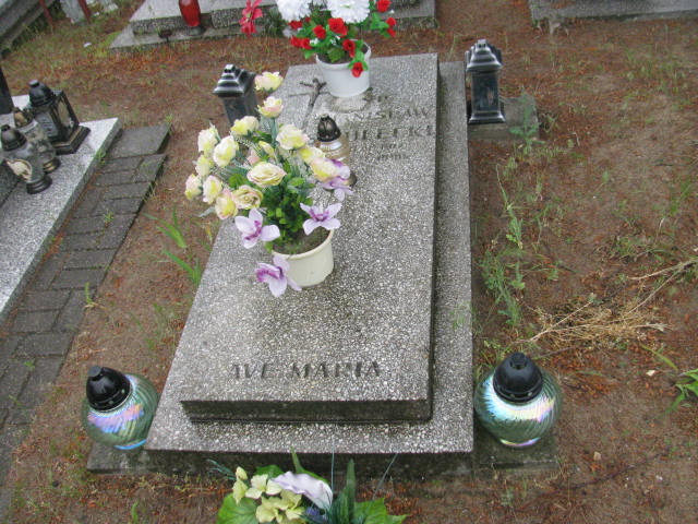 Grób Stanisław Siedlecki