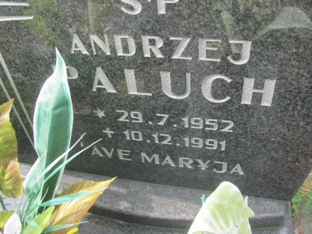 Andrzej Paluch 1952 Bydgoszcz - Grobonet - Wyszukiwarka osób pochowanych