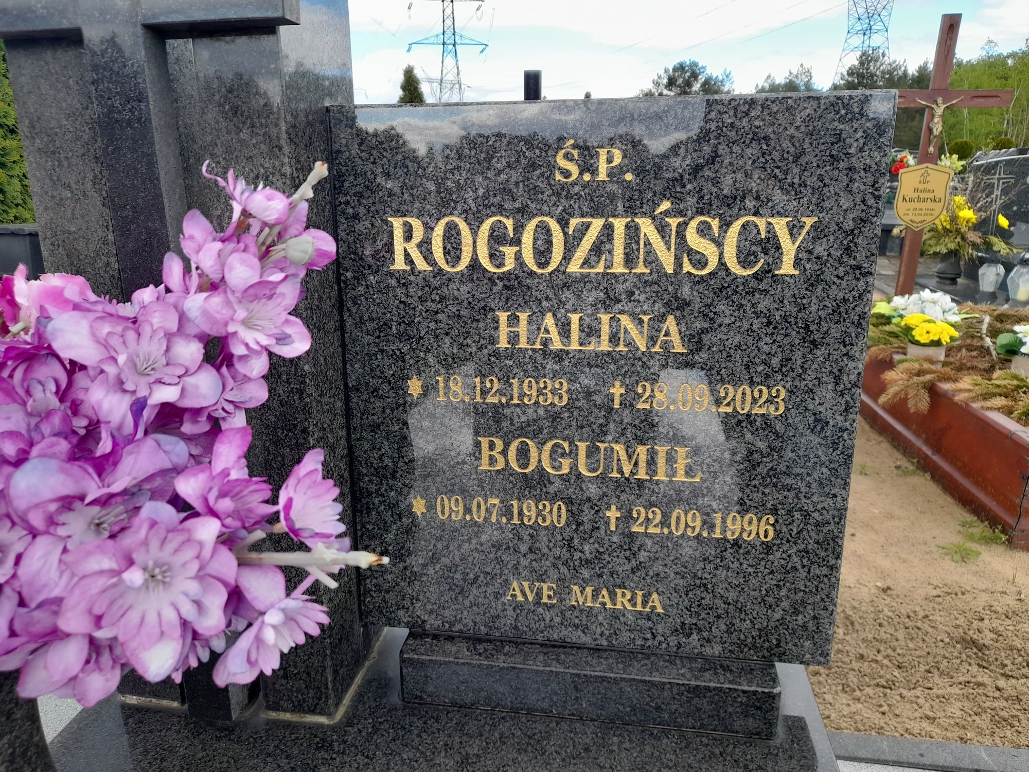 Halina Rogozińska 1933 Bydgoszcz - Grobonet - Wyszukiwarka osób pochowanych