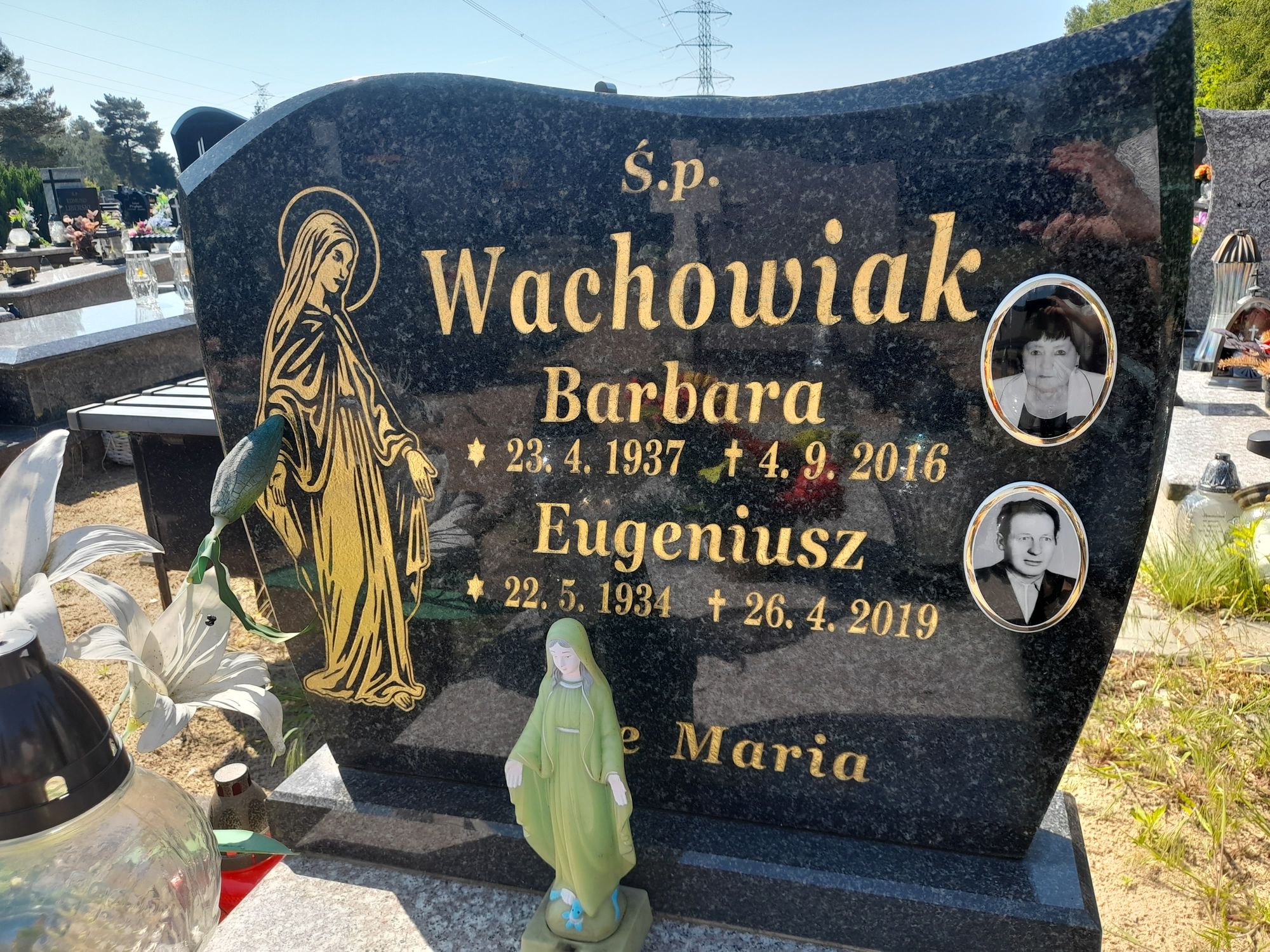 Eugeniusz Wachowiak 1934 Bydgoszcz - Grobonet - Wyszukiwarka osób pochowanych