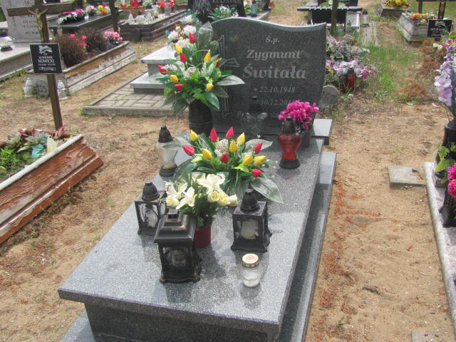 Grób Zygmunt Świtała