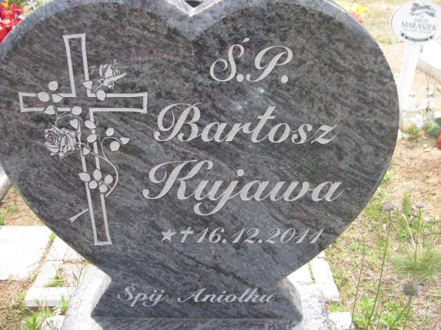 Bartosz Kujawa 2011 Bydgoszcz - Grobonet - Wyszukiwarka osób pochowanych