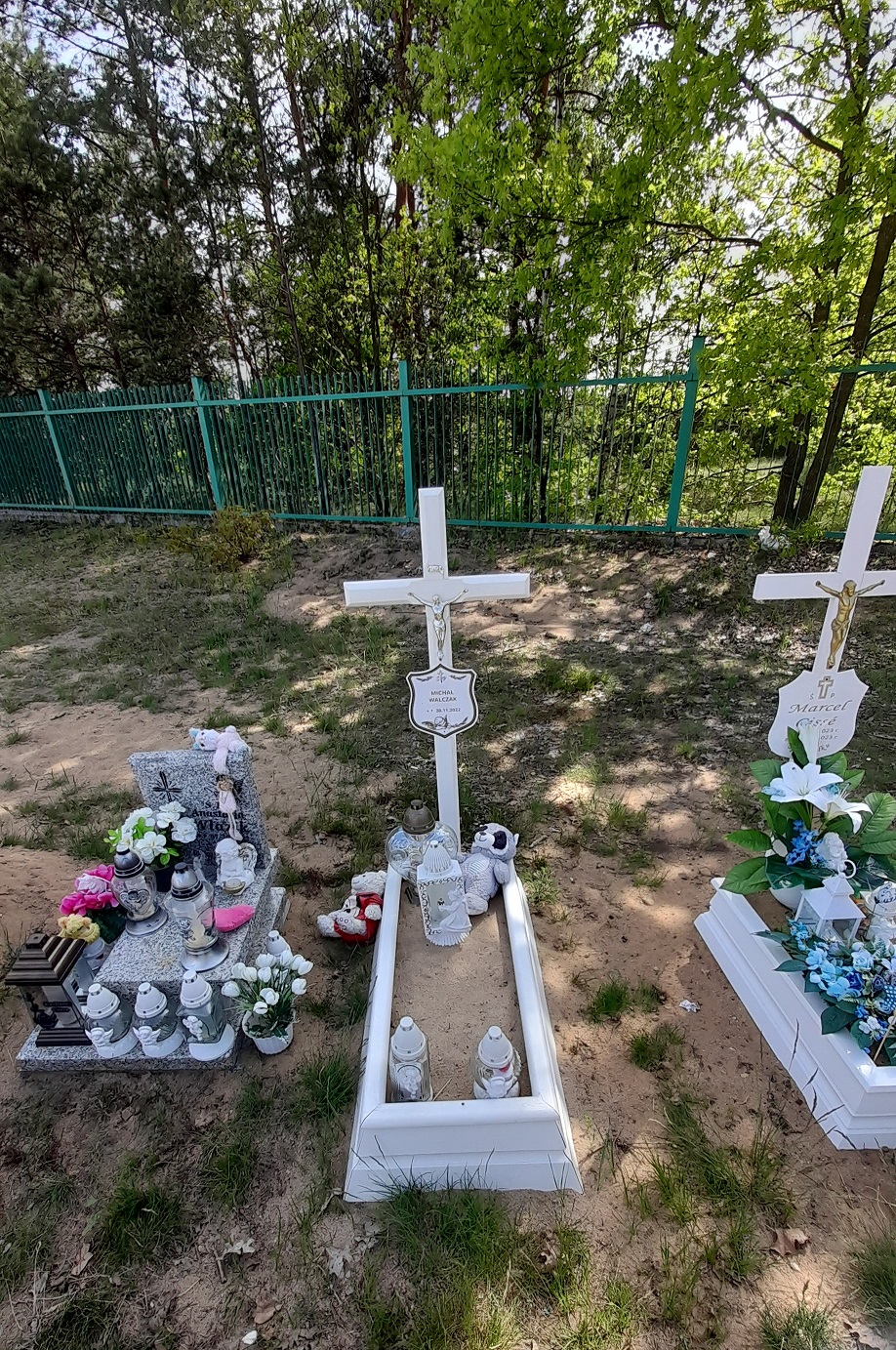 Antoni Walczak 2025 Bydgoszcz - Grobonet - Wyszukiwarka osób pochowanych