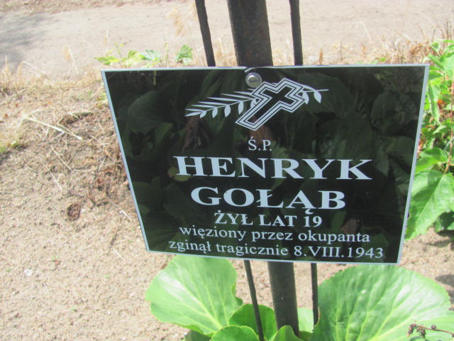 Henryk Gołąb 1929 Bydgoszcz - Grobonet - Wyszukiwarka osób pochowanych