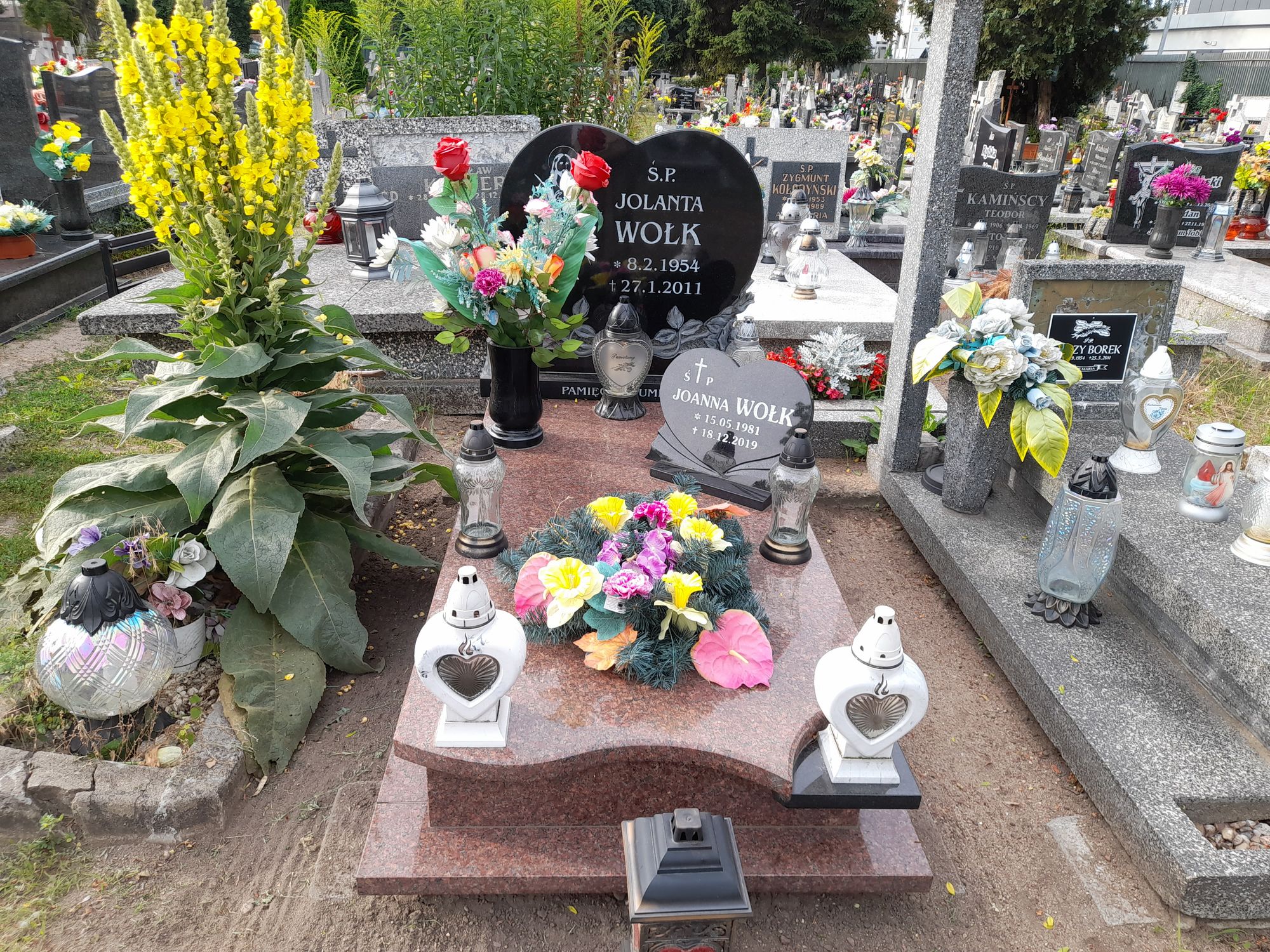 Joanna WOŁK 1981 Bydgoszcz - Grobonet - Wyszukiwarka osób pochowanych