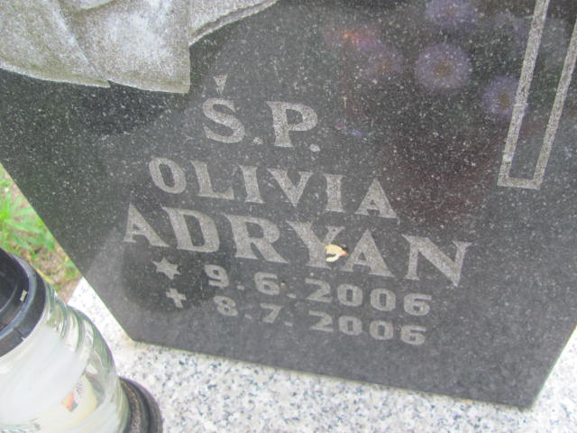 OLIVIA Adryan 2006 Bydgoszcz - Grobonet - Wyszukiwarka osób pochowanych