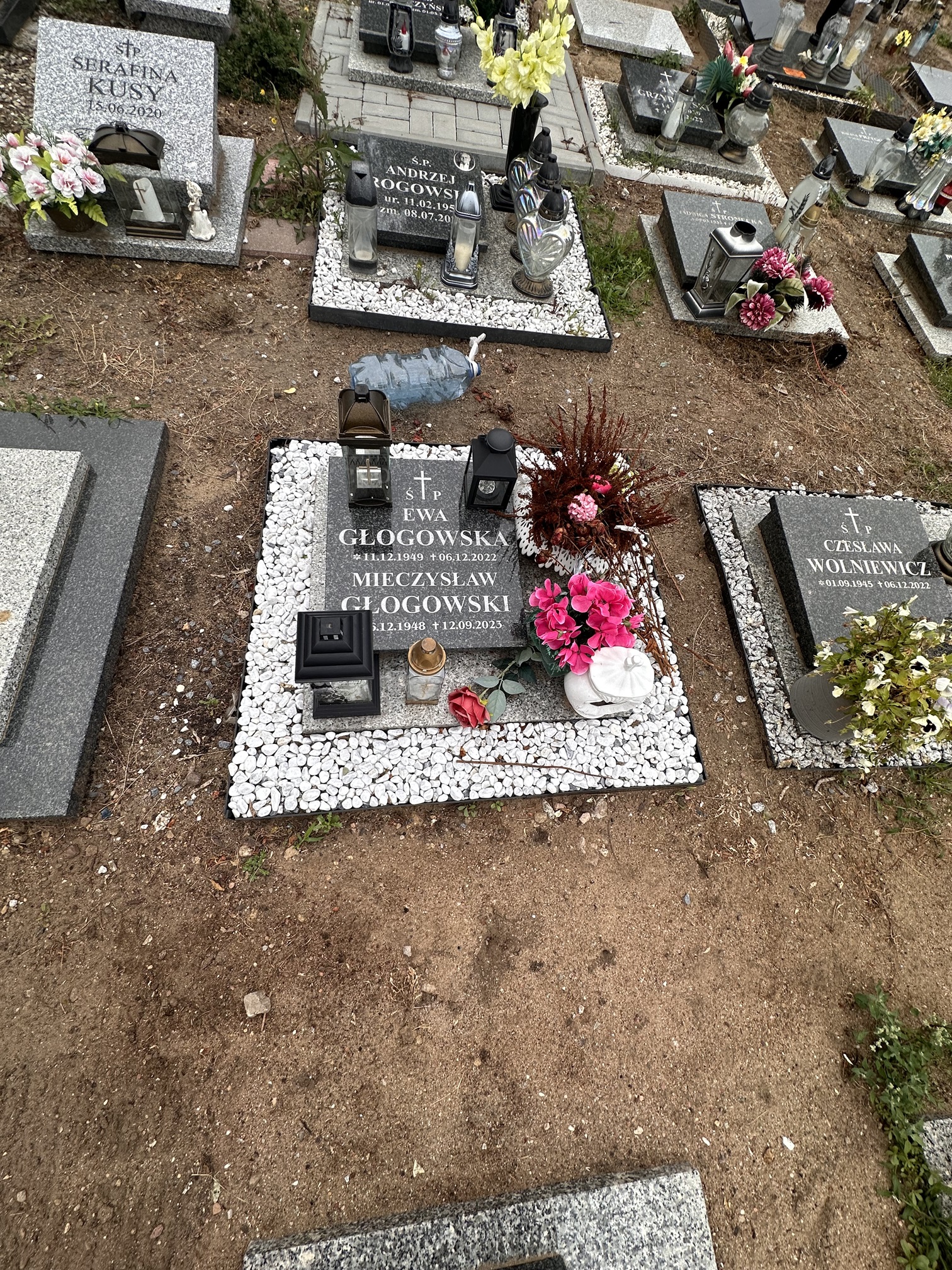 Ewa Głogowska  1949 Bydgoszcz - Grobonet - Wyszukiwarka osób pochowanych