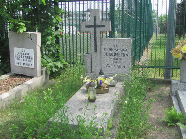 Grób Władysław Swebodziński