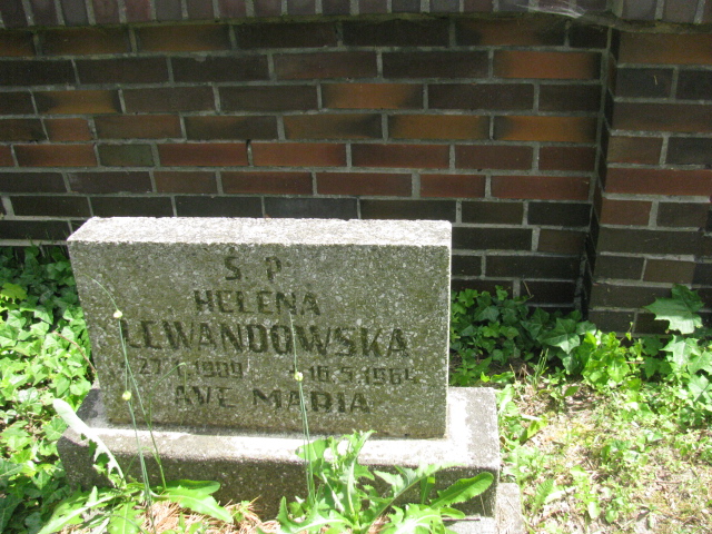 Helena Lewandowska 1909 Bydgoszcz - Grobonet - Wyszukiwarka osób pochowanych