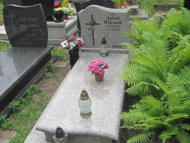 Grób Antoni Wilczoch