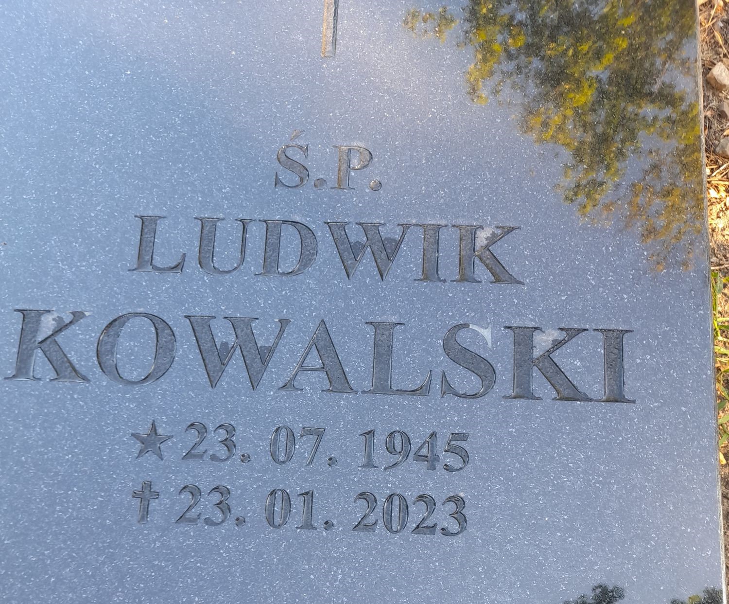 Grób Ludwik Kowalski