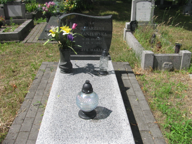 Grób Katarzyna Staniewska