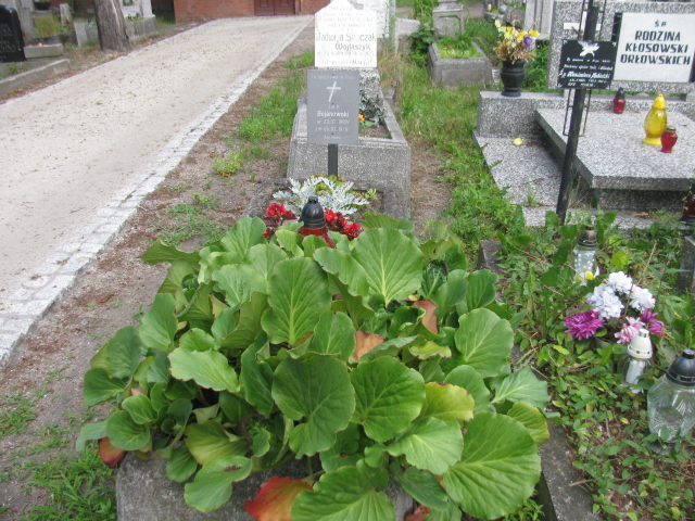 Grób Jan Bojanowski