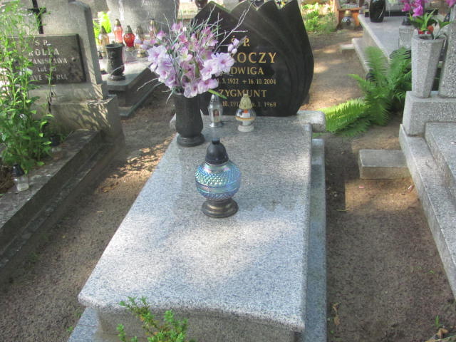 Grób Zygmunt Rakoczy