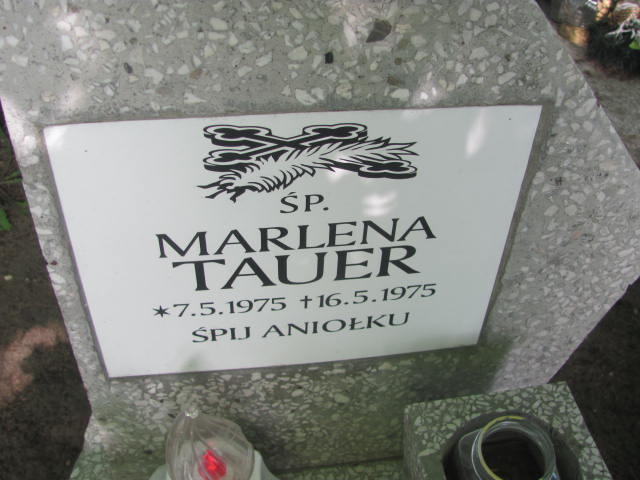 Marlena Tauer 1976 Bydgoszcz - Grobonet - Wyszukiwarka osób pochowanych