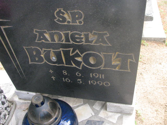 Aniela Bukolt 1911 Bydgoszcz - Grobonet - Wyszukiwarka osób pochowanych