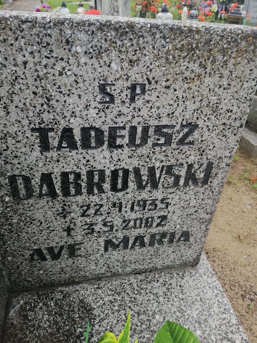 Grób Tadeusz Dąbrowski
